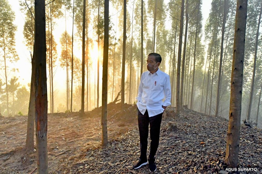 Presiden Jokowi di IKN