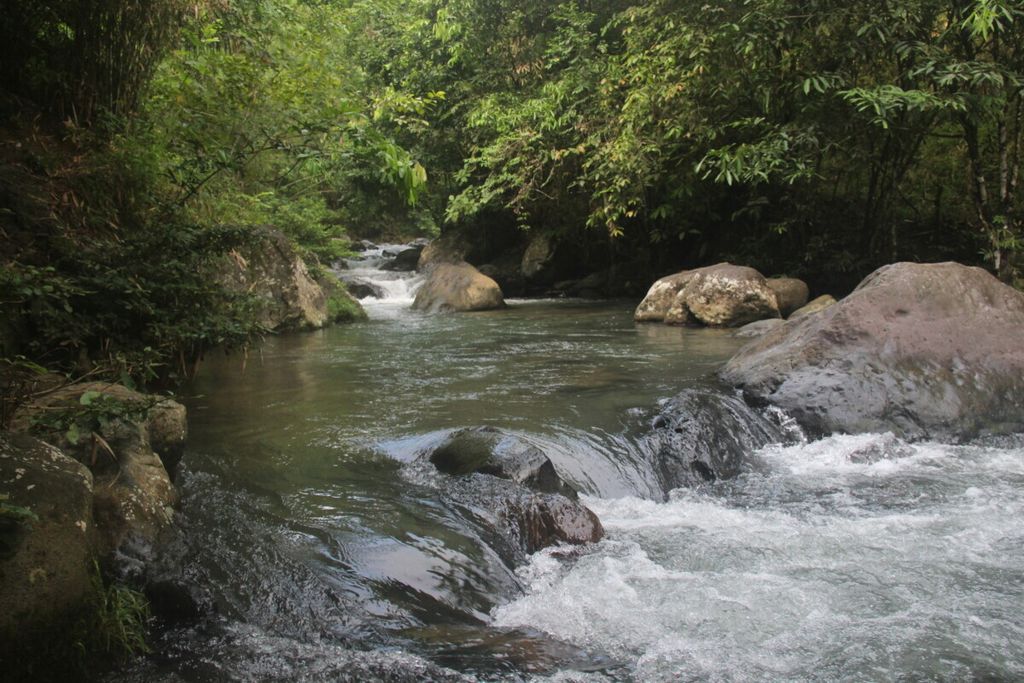 Potret hutan yang masih terjaga dan asri di Loksado, Kabupaten Hulu Sungai Selatan, Kalimantan Selatan, Selasa (28/3/2017).