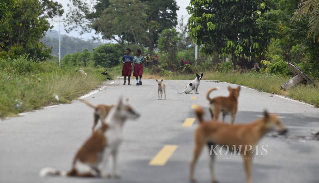 Dua pelajar berjalan kaki melewati jalan Trans-Papua di Lembah Kebar, Distrik Kebar, Kabupaten Tambrauw, Papua Barat, Sabtu (17/4/2021).  Dengan adanya infrastruktur jalan, warga diharapkan mendapatkan akses layanan kesehatan dan pendidikan yang lebih baik. 