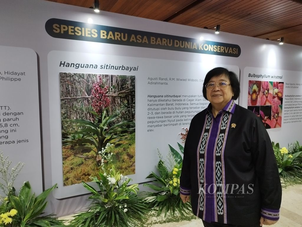 Menteri Lingkungan Hidup dan Kehutanan Siti Nurbaya Bakar berfoto di depan papan informasi spesies baru <i>Hanguana sitinurbayai</i>. Spesies ini dinamai berdasarkan nama Siti Nurbaya Bakar oleh peneliti sebagai bentuk penghormatan.