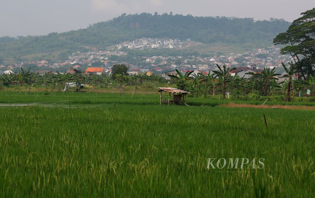 Lahan pertanian dengan latar belakang area bukit yang telah dipadati perumahan di Kecamatan Tembalang, Kota Semarang, Jawa Tengah, Selasa (17/1/2023). 
