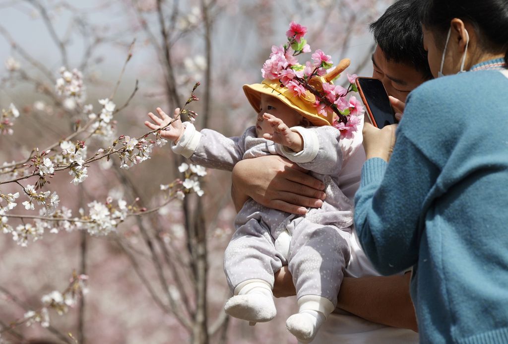 Seorang ibu memotret bayinya di antara bunya sakura di Beijing, China, 24 Maret 2021.