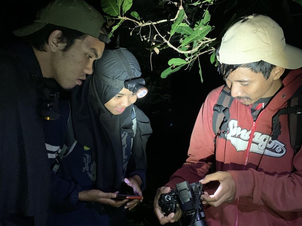 Kalamangga, komunitas asal Yogyakarta yang meneliti laba-laba
