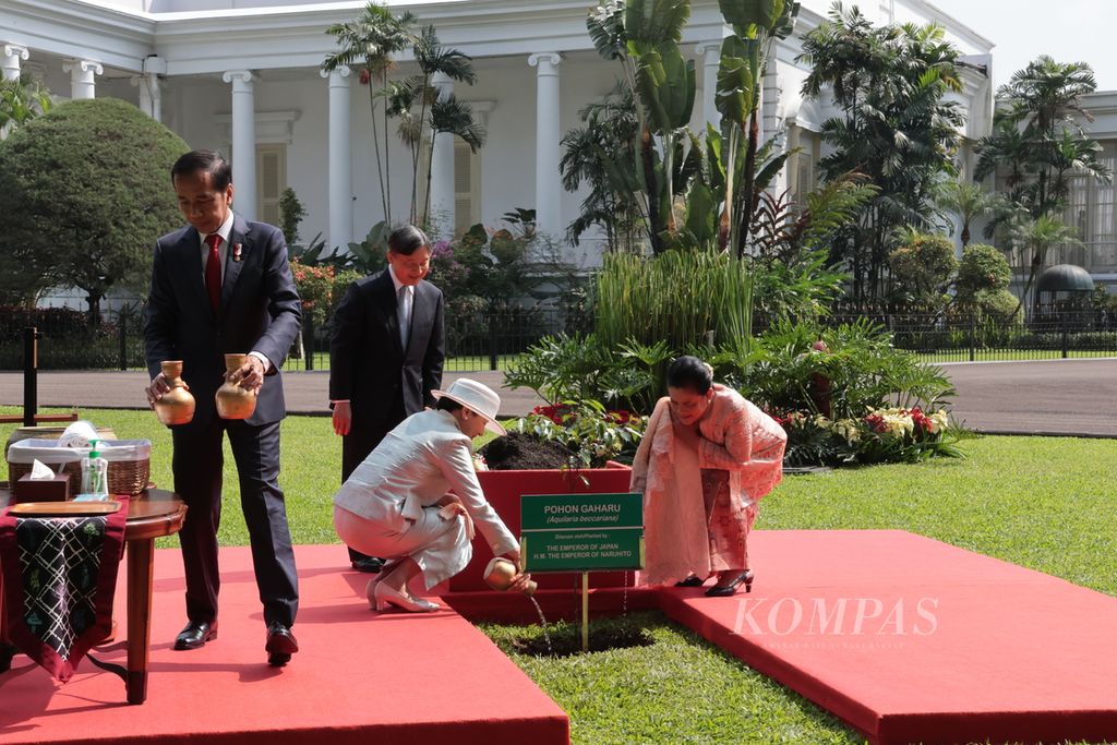 Presiden Joko Widodo dan Kaisar Jepang Naruhito menanam pohon gaharu (<i>Aquillaria beccariana</i>) bersama-sama dalam kunjungan kenegaraan ke Istana Kepresidenan Bogor, Senin (19/6/2023). Permaisuri Masako dan Nyonya Iriana juga ikut menanam pohon persahabatan kedua negara tersebut.
