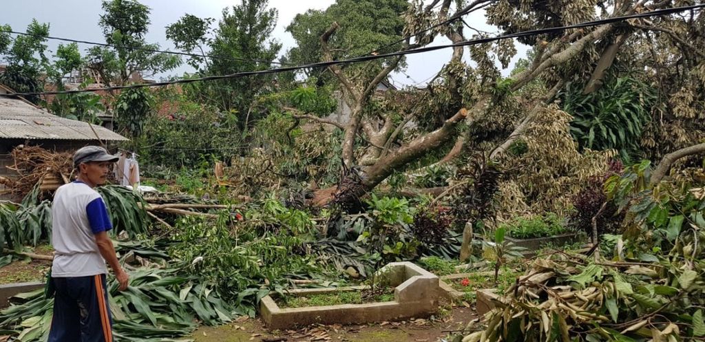 Pohon-pohon tumbang di Tempat Pemakaman Umum Parung Panjang, Kelurahan Pamoyanan, Bogor Selatan, akibat angin puting beliung, Jumat (7/12/2018). 