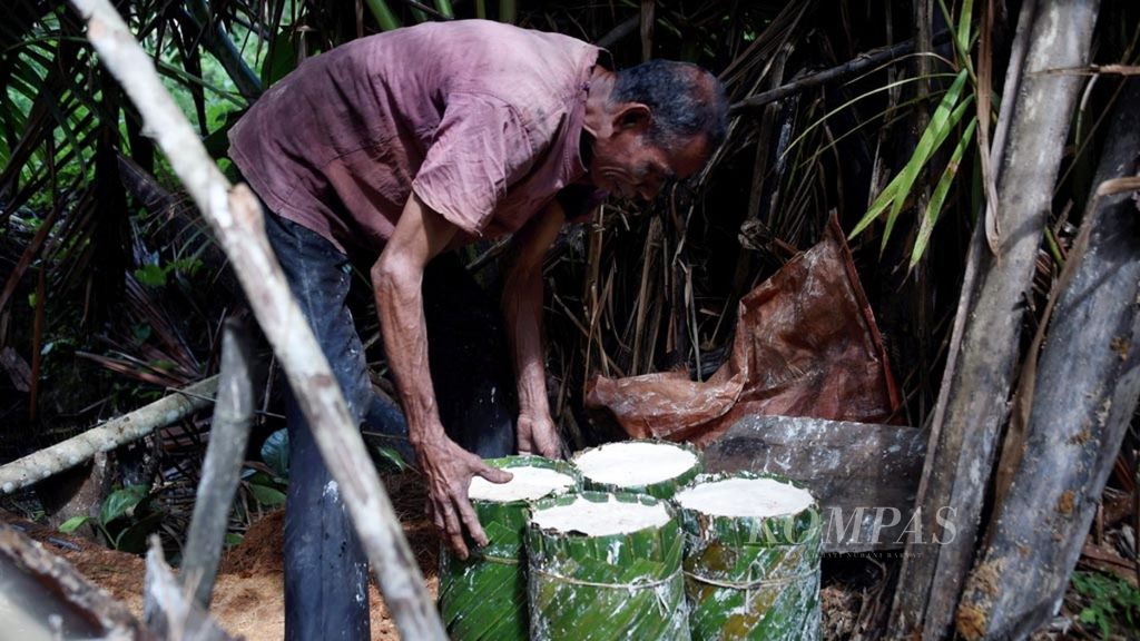 Yohanes Sapulette memproduksi sagu di Desa Masihulan, Kecamatan Seram Utara, Maluku Tengah, Minggu (5/5/2019). 