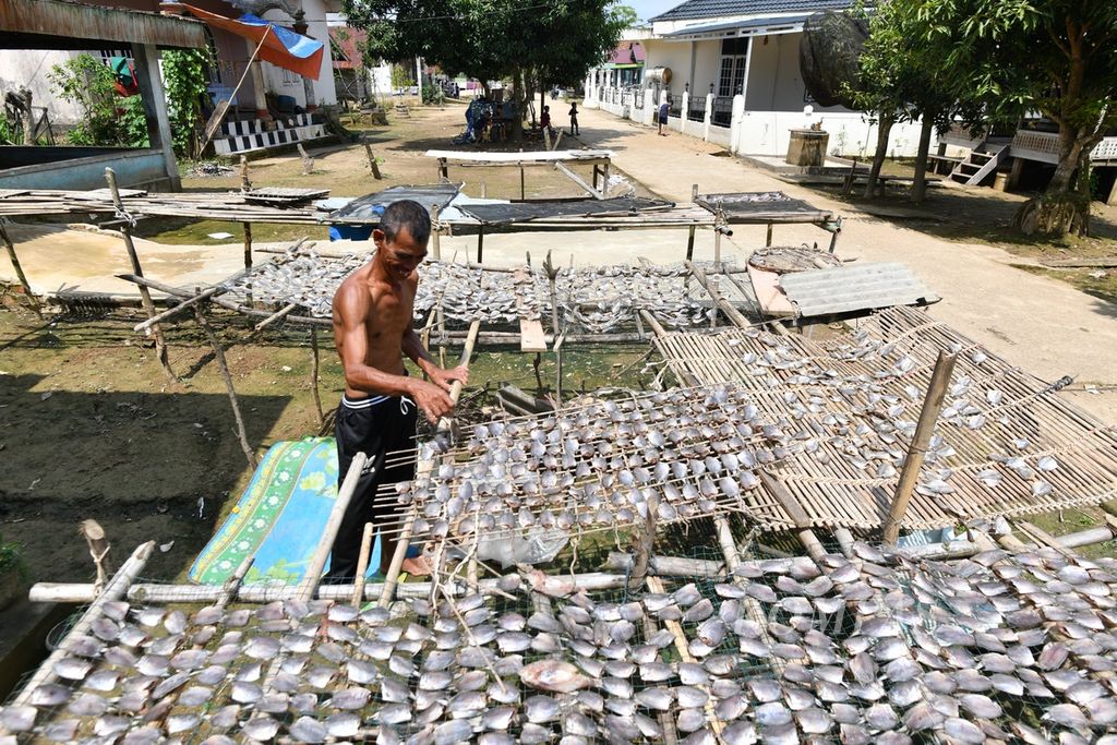 Warga menjemur ikan asin di halaman rumah di Desa Dusun Mudo, Kecamatan Taman Rajo, Kabupaten Muaro Jambi, Jambi, Rabu (10/7/2024). 