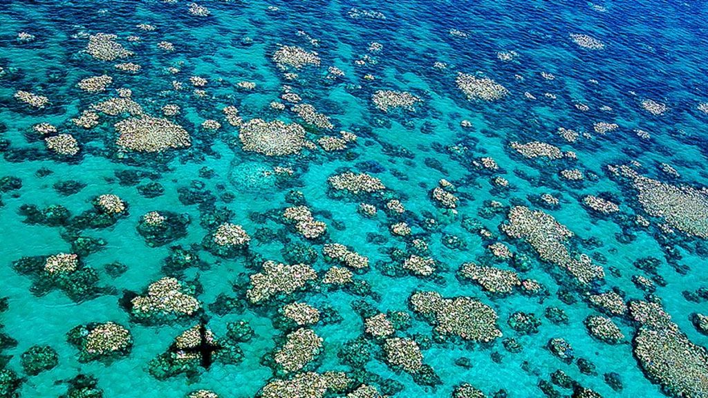 Foto dari Dewan Riset Australia yang diterbitkan pada 10 April 2017 ini menunjukkan pemutihan yang terjadi di Karang Penghalang Besar (Great Barrier Reef) di sekitar wilayah Cairns, Queensland, Australia.