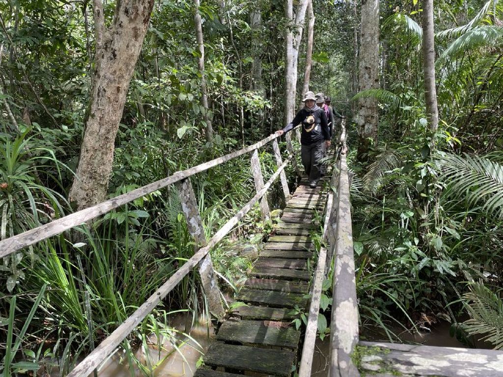 Suasana salah satu sudut Hutan Lindung Sungai Wain, Kota Balikpapan, Kalimantan Timur, Sabtu (4/2/2023).