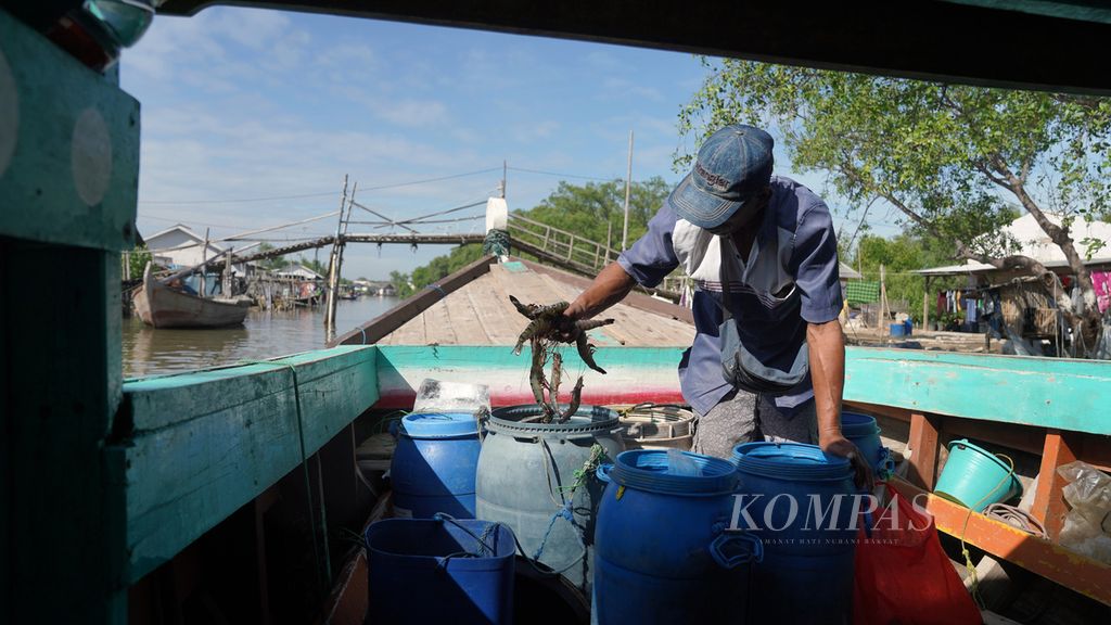 Residents arrange shrimp on the Sinar Ada motor boat, heading for Muaragembong-Cilincing in Pantai Mekar Village, Muaragembong District, Bekasi Regency, West Java, on Friday (10/28/2022).