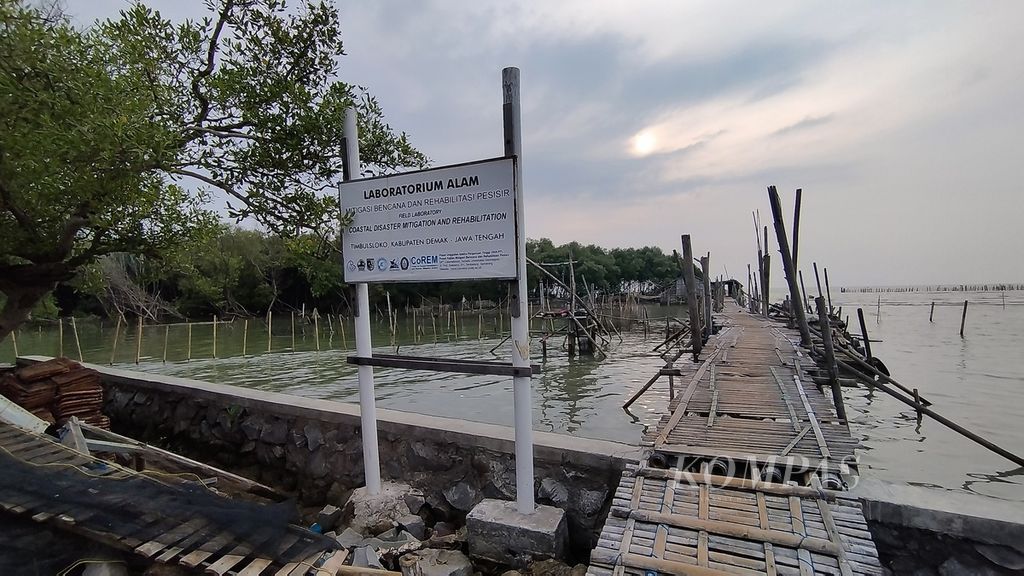 Desa Timbulsloko, Kecamatan Sayung, Demak, Jawa Tengah, menjadi lokasi mitigasi bencana dan rehabilitasi kawasan pesisir. Upaya rehabilitasi salah satunya dilakukan melalui penanaman mangrove.