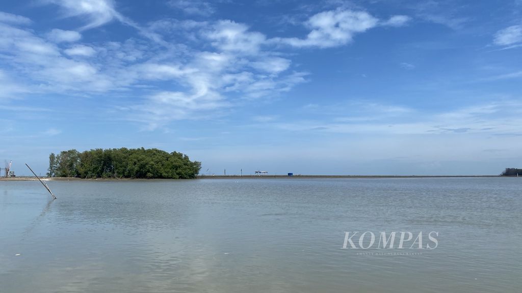 Pohon mangrove tumbuh di tengah Pulau Arnavat, Desa Surodadi, Kecamatan Sayung, Kabupaten Demak, Jawa Tengah, Jumat (5/1/2024). 