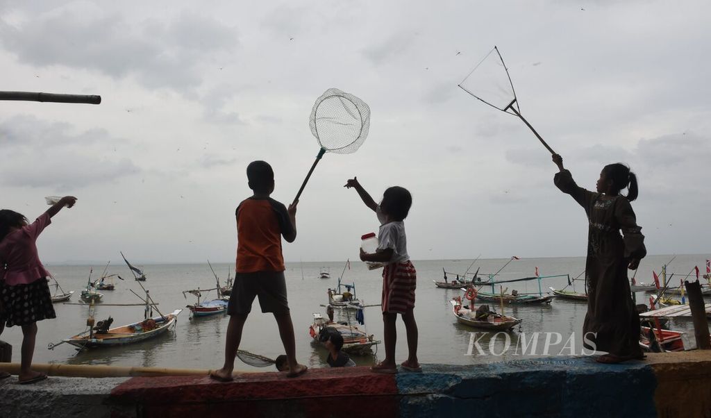 Children catch dragonflies flying on Nambangan Beach, Surabaya City, East Java, Saturday (24/12/2022). According to local residents, the presence of dragonflies in large numbers occurs every west wind season which is synonymous with bad weather at sea. Fishermen anticipate this by not looking for fish too far out to sea.