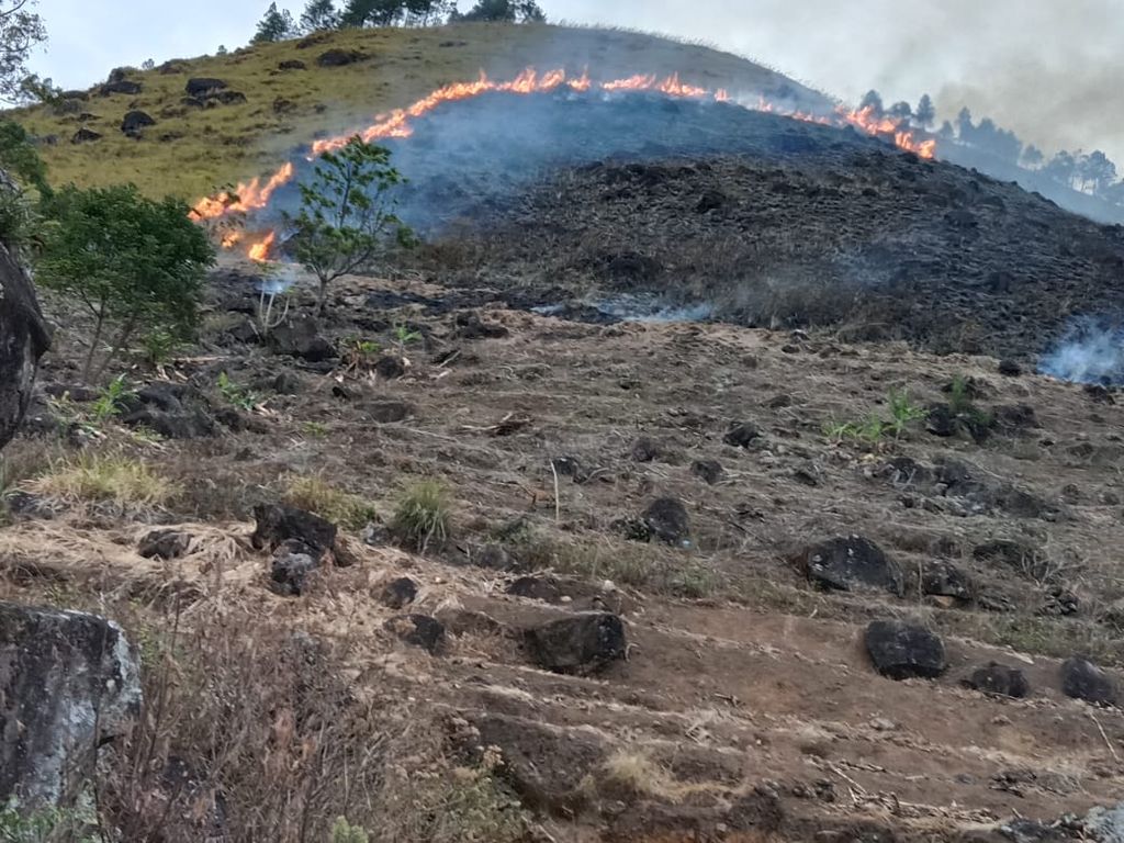 Perbukitan di kawasan Danau Toba terbakar sebagaimana terlihat pada Minggu (7/8/2022). 