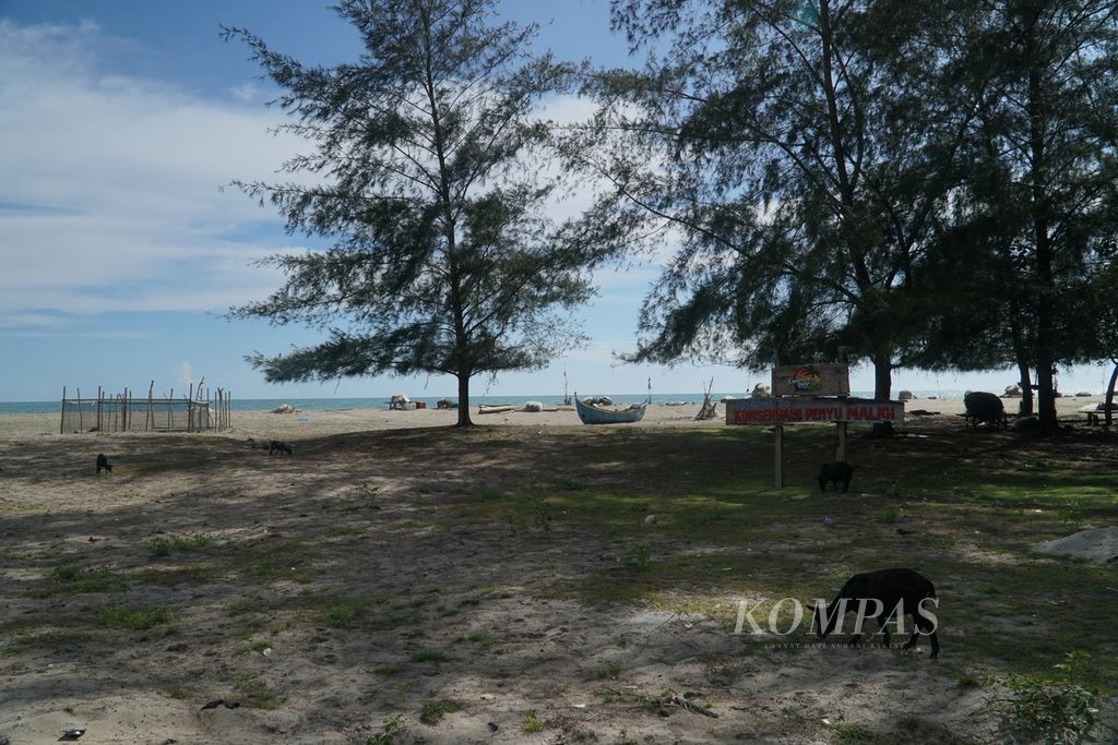 Suasana di sekitar lokasi konservasi penyu oleh komunitas Pandah ArtGreen di Pantai Maligi, Jorong Pantai Indah, Nagari (Persiapan) Maligi, Kecamatan Sasak Ranah Pasisie, Pasaman Barat, Sumatera Barat, Selasa (15/3/2022).