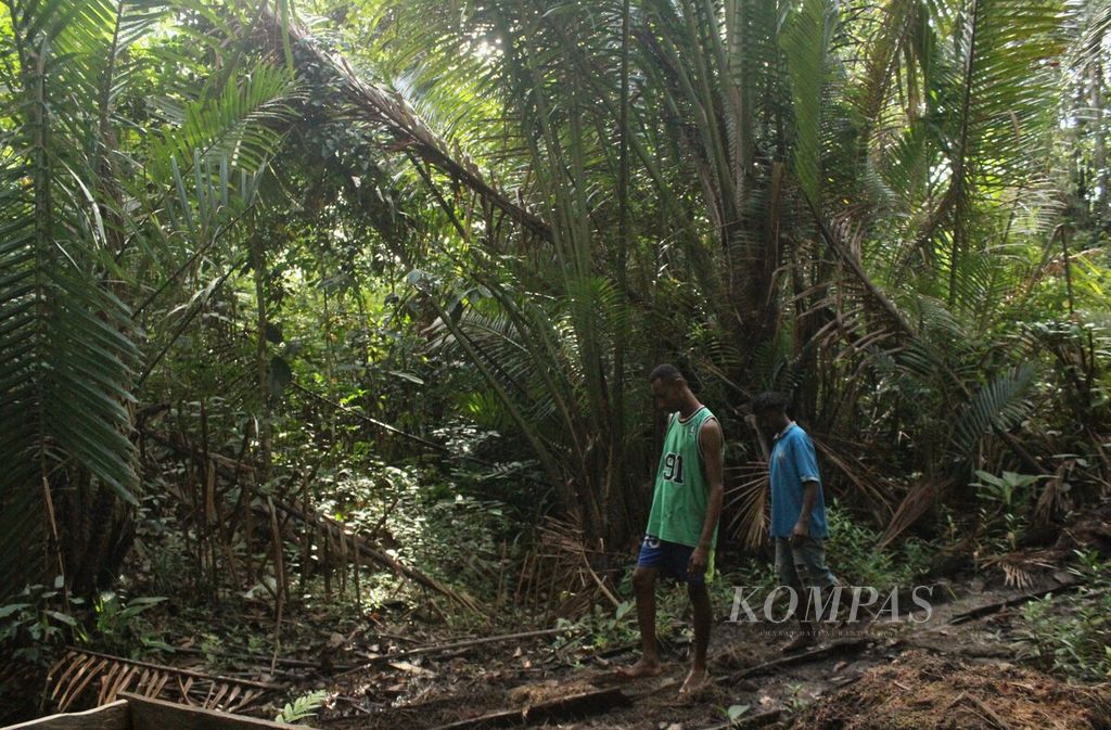 Warga adat suku Tehit melewati dusun sagu di di Distrik Konda, Kabupaten Sorong Selatan, Papua Barat Daya, Kamis (27/7/2023). Dusun sagu itu merupakan salah satu lokasi pemetaan kawasan adat secara partisipatif yang melibatkan masyarakat adat.