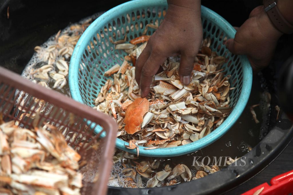  Anggota Kelompok Cangkang Salona mencuci cangkang rajungan di Selambai, Lok Tuan, Kota Bontang, Kalimantan Timur, Senin (24/7/2023).