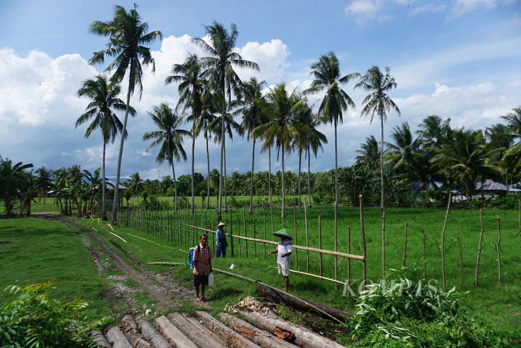 Para petani bercengkerama di samping sepetak lahan yang ditanami jagung di Desa Ombulo, Kabupaten Gorontalo, Provinsi Gorontalo, Kamis (30/11/2023). Sekitar 400.000 hektar atau sepertiga dari daratan provinsi berusia 23 tahun itu ditanami jagung hibrida.