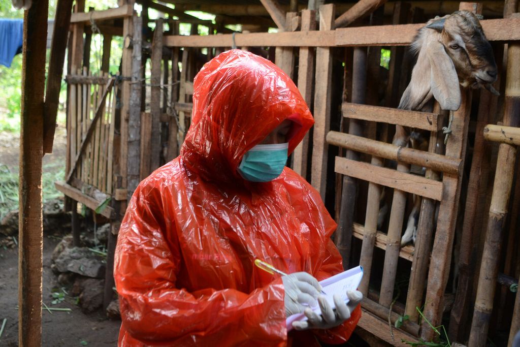 Petugas mencatat data sapi ternak yang telah disuntik vaksin antraks di Desa Dadapayu, Kecamatan Semanu, Kabupaten Gunung Kidul, DI Yogyakarta, Rabu (22/1/2020). 