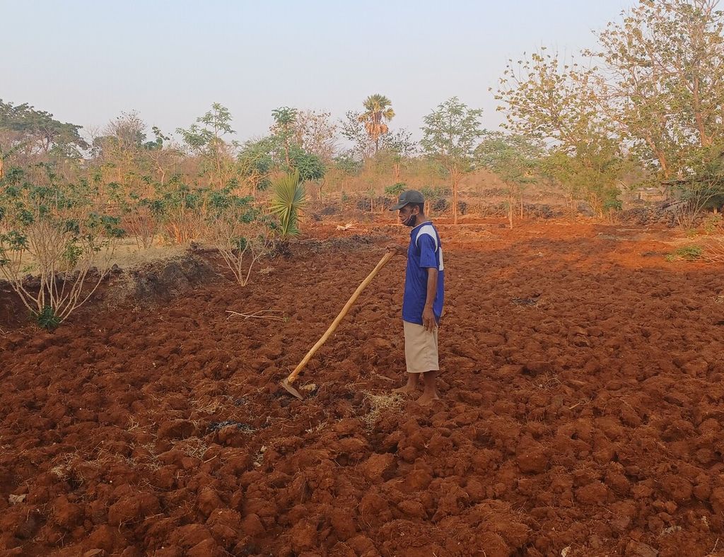 Rusgu Nitnoni (54), petani lahan kering di pinggiran Kelurahan Naimata, Kota Kupang, Selasa (28/11/2023). 