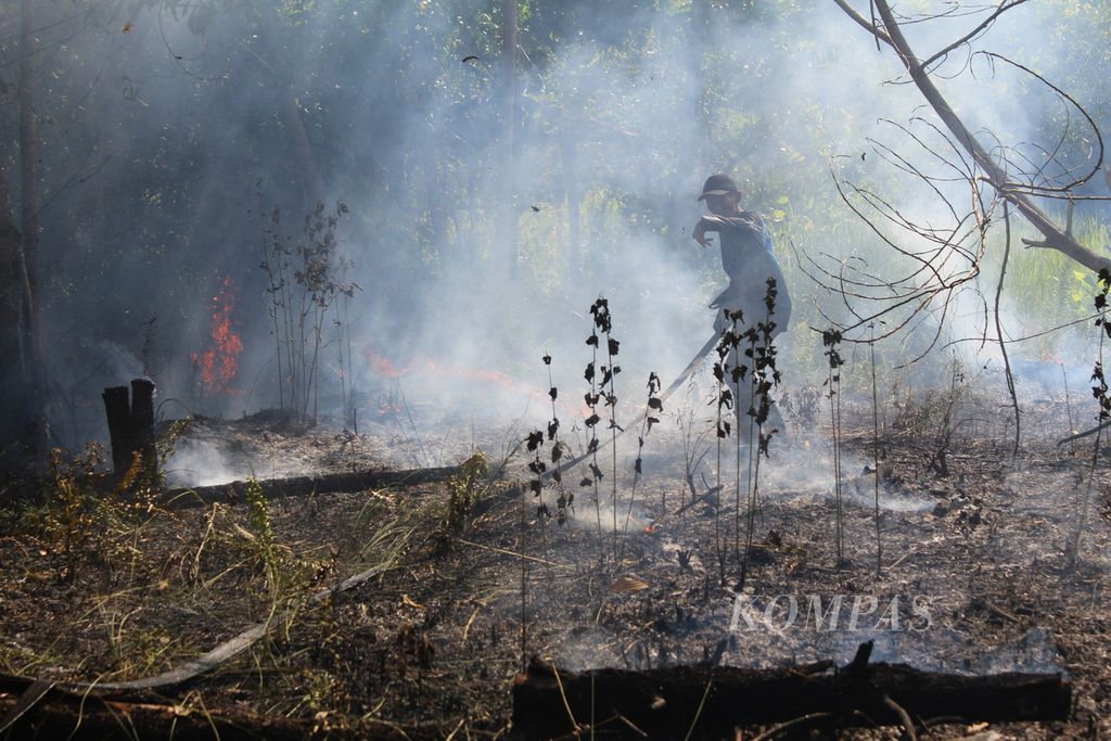 Salah satu petugas pemadam kebakaran berlari mengejar api dan memadamkannya agar tak merambat ke perumahan terdekat di Kota Palangkaraya, Kalteng, Minggu (13/8/2023).