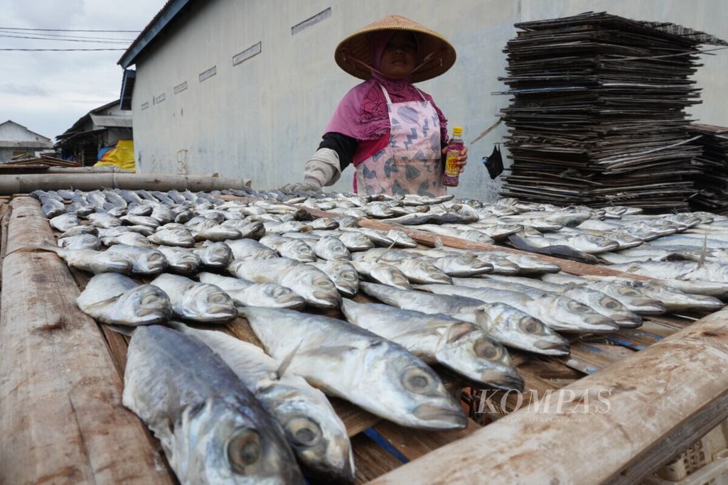 Aktivitas penjemuran ikan asin di kawasan Pelabuhan Jongor, Kota Tegal, Jateng, Jumat (10/1/2020).