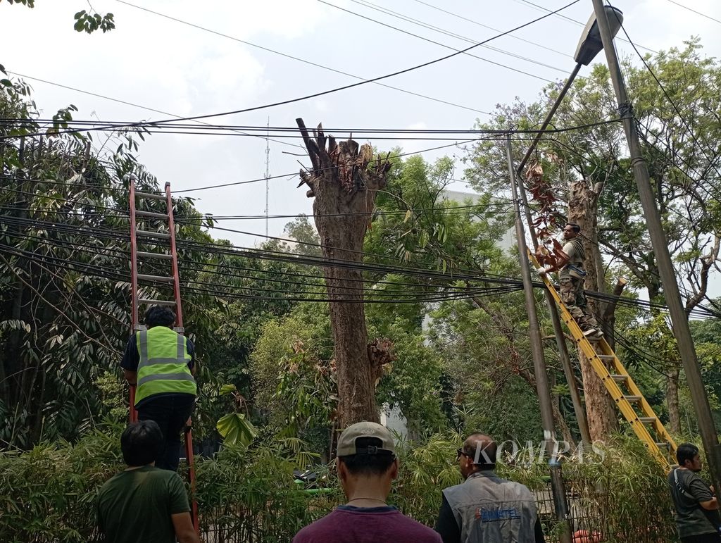 Apjatel Jabodetabek merapikan kabel utilitas di kawasan Kementerian Lingkungan Hidup dan Kehutanan, Gelora, Jakarta Pusat, Sabtu (2/9/2023).