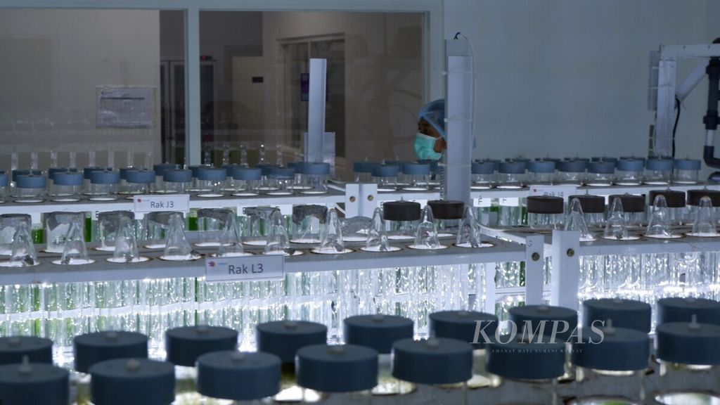 Suasana aktivitas pekerja di laboratorium PT Evergen Resources di Desa Mororejo, Kaliwungu, Kendal, Jawa Tengah, Kamis (25/7/2019). Perusahaan bioteknologi berbasis mikroalga itu menghasilkan bahan aktif antioksidan astaxantin dengan merek AstaLuxe, yang menjadi bahan obat dan kosmetik.