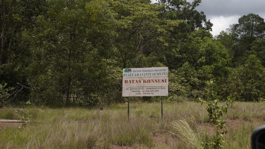 Batas konsesi PT Selaras Inti Semesta (HTI) di tanah ulayat Suku Malind Anim di Kampung Zanegi, Distrik Animha, Kabupaten Merauke, Papua, Selasa (10/3/2020). 
