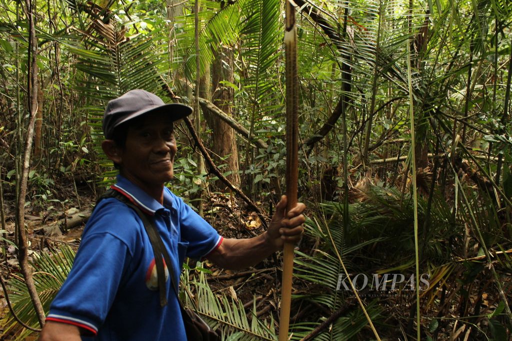 Heri Pato mengambil rotan dari hutan di sekitar rumahnya di Desa Kalumpang, Kabupaten Kapuas, Kalteng, Selasa (19/8/2022). Hutan merupakan sumber kehidupan masyarakat adat Dayak.