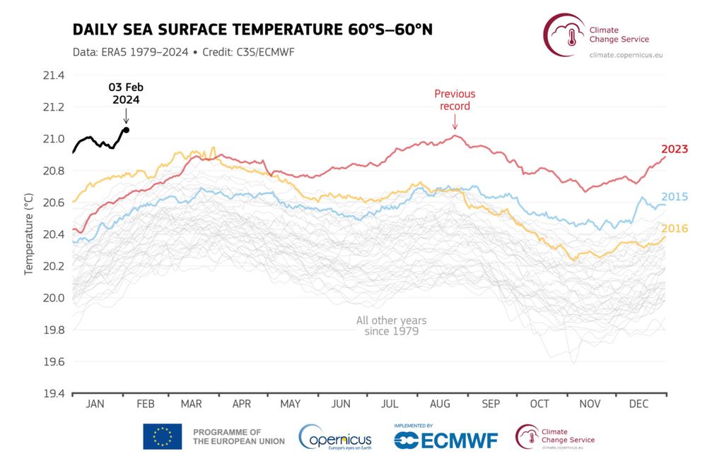 Suhu permukaan laut harian (dalam derajat celsius) rata-rata di lautan global ekstra-kutub (60° LS–60° LU) pada tahun 2015 (biru), 2016 (kuning), 2023 (merah), dan 2024 (garis hitam). Tahun-tahun lainnya antara 1979 dan 2022 ditampilkan dengan garis abu-abu. 