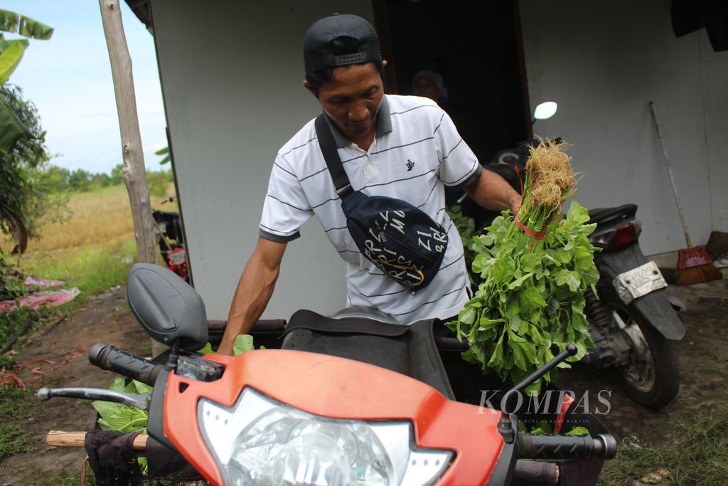 Suwanto (36), pedagang sayur keliling di Kota Palangkaraya, Kalimantan Tengah, membeli sayuran di salah satu petani sebelum pergi keliling, Rabu (24/1/2024) pagi. Suwanto kerap dipanggil ”paman” sayur atau tukang sayur keliling dengan sepeda motor.