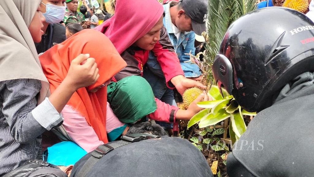 Sejumlah warga tampak beramai-ramai berebut durian di Desa Giyanti, Kecamatan Candim,ulyo, Kabupaten Magelang, Jawa Tengah, Minggu (26/2/2023).