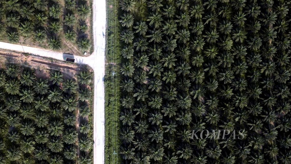Hamparan perkebunan kelapa sawit di kawasan Nagari Pengkolan, Kecamatan Bosar Maligas, Simalungun, Sumatera Utara, Senin (12/3/2018).