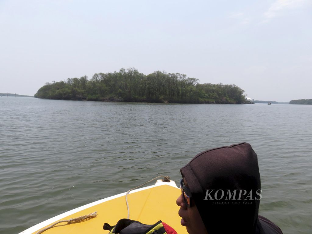 Mengarungi Sungai Porong dengan perahu wisata dari Dermaga Tlocor di Desa Kedungpandan, Kecamatan Jabon, Kabupaten Sidoarjo, Jawa Timur, Rabu (4/12/2019). Sebuah pulau kecil itu adalah Pulau Lumpur Sidoarjo yang menjadi destinasi wisata mangrove terpopuler kedua menurut Anugerah Pesona Indonesia 2019