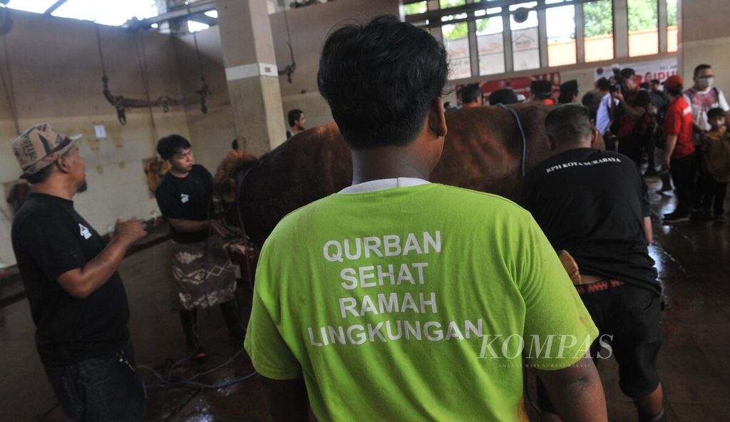 Aktivitas pemotongan hewan kurban di Rumah Pemotongan Hewan (RPH) Pegirian, Surabaya, Kamis (29/6/2023). Pengelola RPH tersebut menyediakan hewan dan jasa pemotongan bagi warga atau instansi yang akan berkurban pada Idul Adha. 
