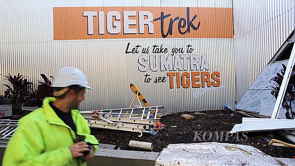 Pekerja konstruksi Kebun Binatang Taronga, Sydney, Australia, melintas di depan lokasi yang bakal menjadi anjungan untuk memperkenalkan harimau sumatera. Selain bagian dari pelestarian harimau sumatera, anjungan itu juga jadi bagian dari upaya otoritas Sydney untuk memperkenalkan Indonesia kepada warganya.