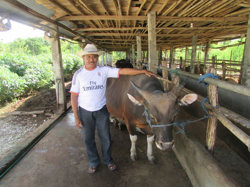 Ketua Kelompok Tani "Noetnana" Kelurahan Fatukoa, Kota Kupang, Daniel Aluman.