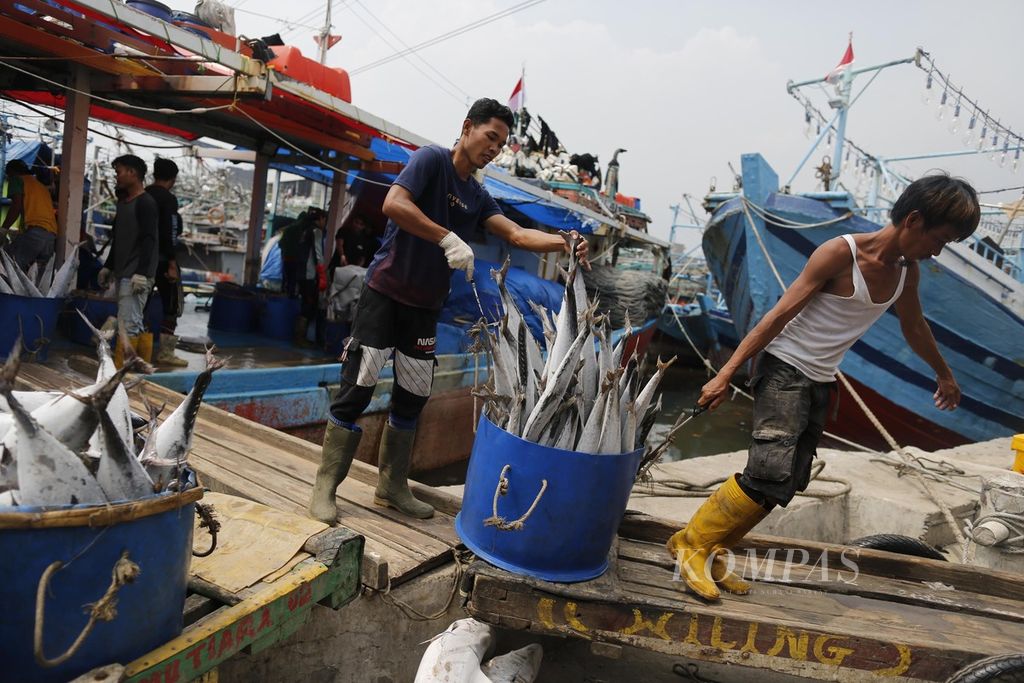 Buruh membongkar ikan hasil tangkapan dari kawasan perairan di Papua di Dermaga Pelabuhan Muara Angke, Jakarta, Selasa (29/8/2022). Pemerintah berencana menarik pungutan hasil perikanan pascaproduksi.
