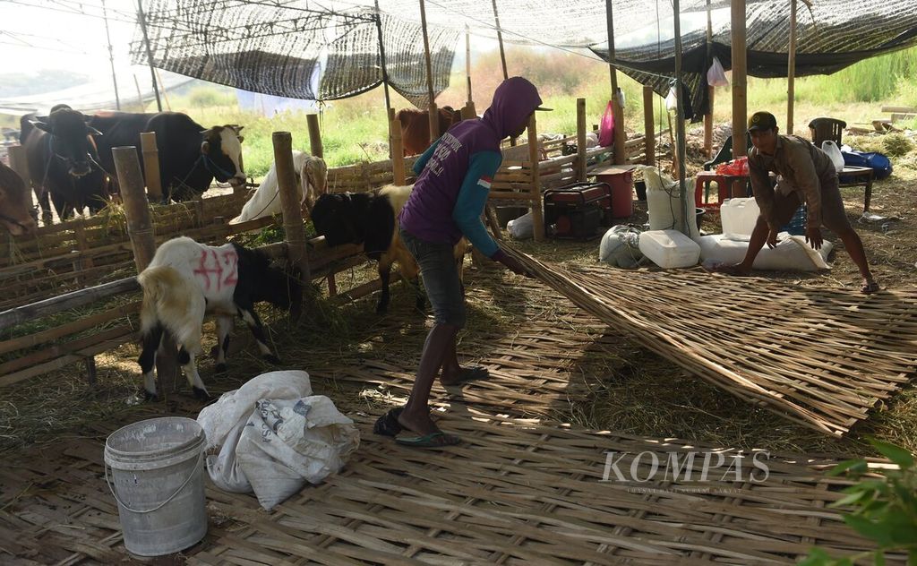 Pekerja menyiapkan kandang untuk hewan kurban yang dijual di pinggir Jalan Dr Ir H Soekarno, Surabaya, Jawa Timur, Jumat (9/6/2023). 