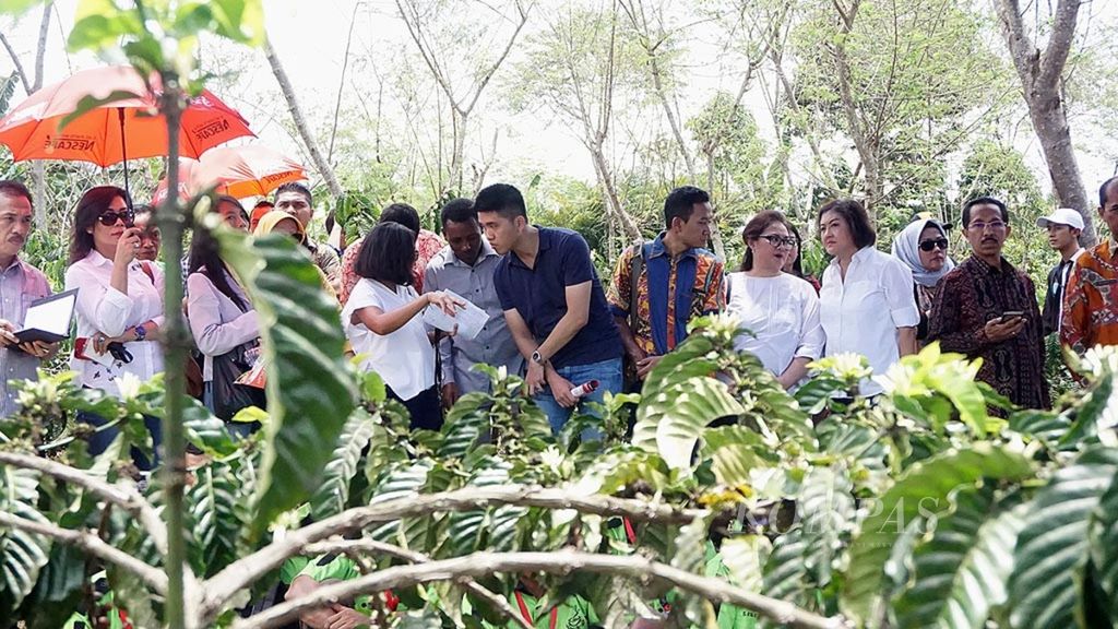 Sejumlah peserta tur kopi dari berbagai negara mengikuti kunjungan lapangan ke kebun kopi percontohan di Desa Negeri Agung, Kecamatan Talang Padang, Kabupaten Tanggamus, Lampung, Sabtu (30/9/2017).