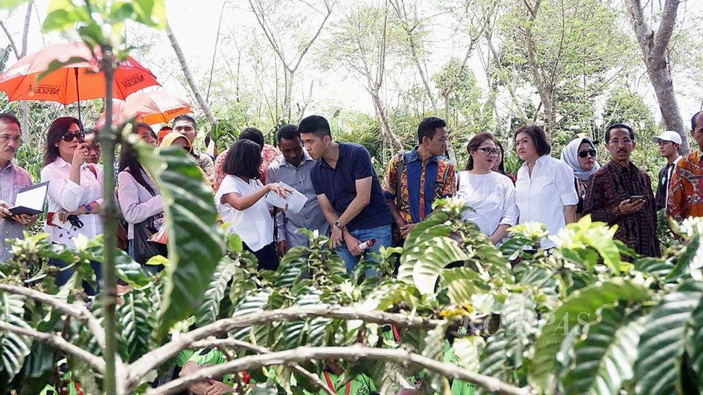 A number of coffee tour participants from various countries visited a sample coffee plantation in Negeri Agung Village, Talang Padang District, Tanggamus Regency, Lampung on Saturday (September 30, 2017).