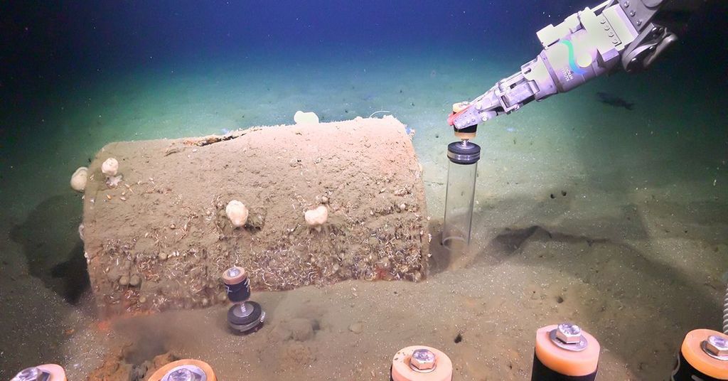 Peneliti di Kapal Penelitian Falkor menggunakan kendaraan robotik yang dioperasikan dari jarak jauh untuk mengumpulkan sedimen di lepas pantai Los Angeles, Amerika Serikat, selama ekspedisi pada Juli 2021.