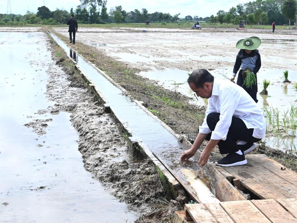 Presiden Joko Widodo mengecek air yang disalurkan melalui pompa di kawasan pertanian Desa Bapeang, Kabupaten Kotawaringin Timur, Provinsi Kalimantan Tengah, Rabu (26/6/2024).