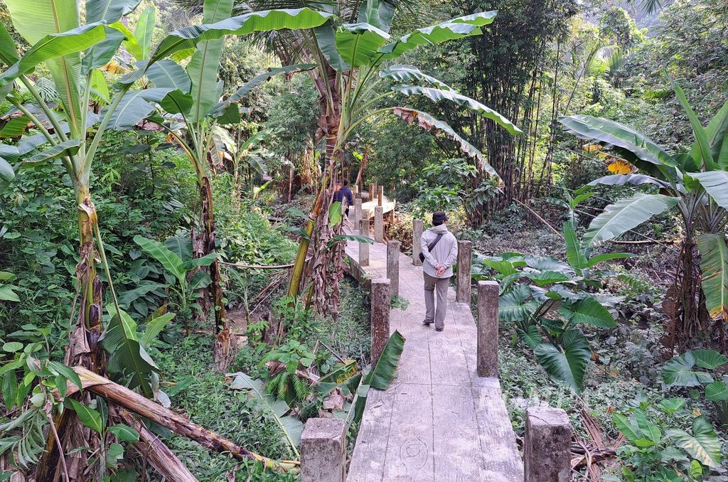 Pengunjung menyusuri jalan ke Air Terjun Kulukubuk di Dusun Kulukubuk, Desa Madobag, Kecamatan Siberut Selatan, Kepulauan Mentawai, Sumatera Barat, Kamis (28/9/2023). 