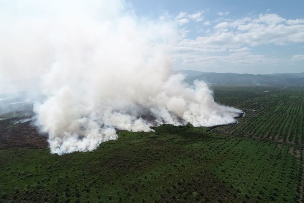 Ratusan hektar lahan gambut di Lalolae, Kolaka Timur, Sulawesi Tenggara, yang berdekatan dengan lokasi perusahaan sawit, masih terbakar, seperti terlihat pada Minggu (15/9/2019).