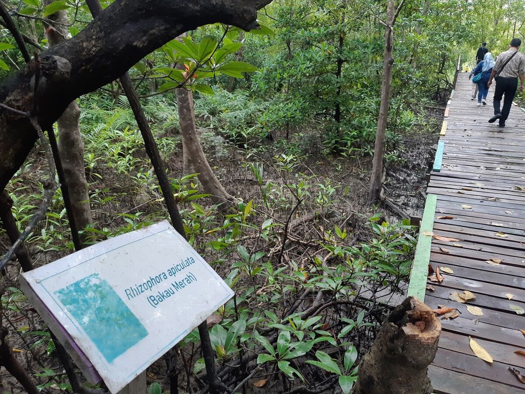 Suasana Ekowisata Hutan Mangrove Pangkal Babu, Minggu (2/4/2023).