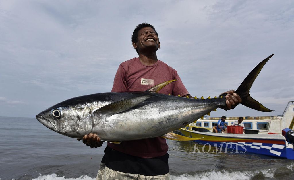 Nelayan membawa tuna sirip kuning hasil tangkapan di Desa Kawasi, Pulau Obi, Halmahera Selatan, Maluku Utara, Minggu (26/11/2023). 