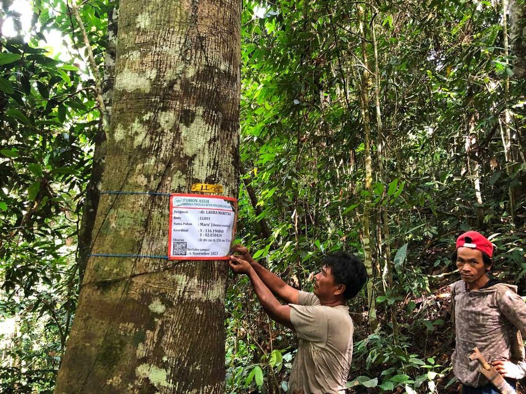 Warga Desa Long Lake di Kabupaten Malinau, Kalimantan Utara, menandai pohon dalam program pohon asuh di hutan desa yang dikelola warga, Rabu (21/12/2022).