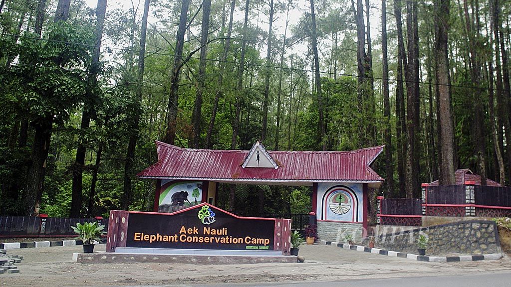 Aek Nauli Elephant Conservation Camp dibuka untuk umum sejak Desember 2017.